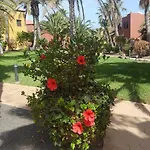 Spagnolo Oasis Tamarindo كوراليهو